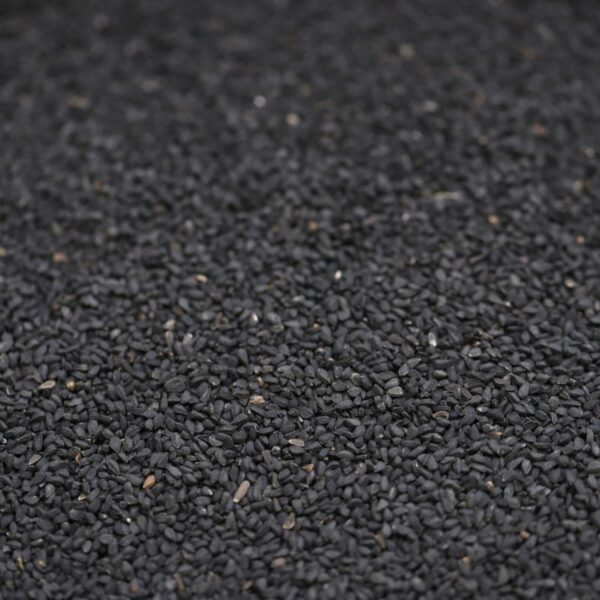 Black Onion Seeds