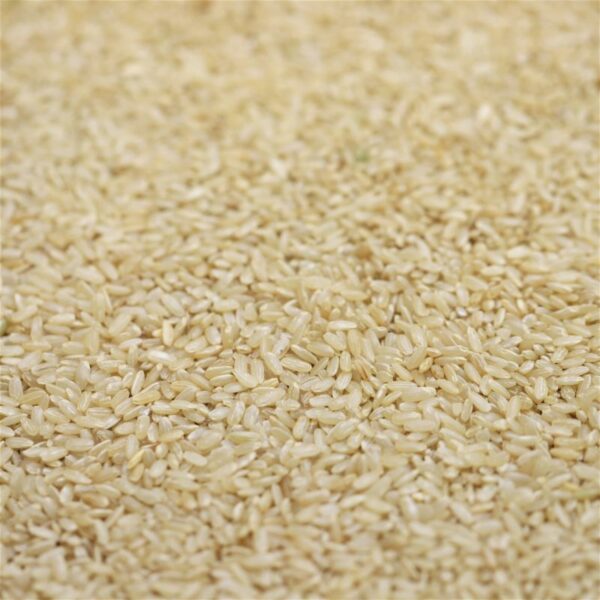 Brown Rice