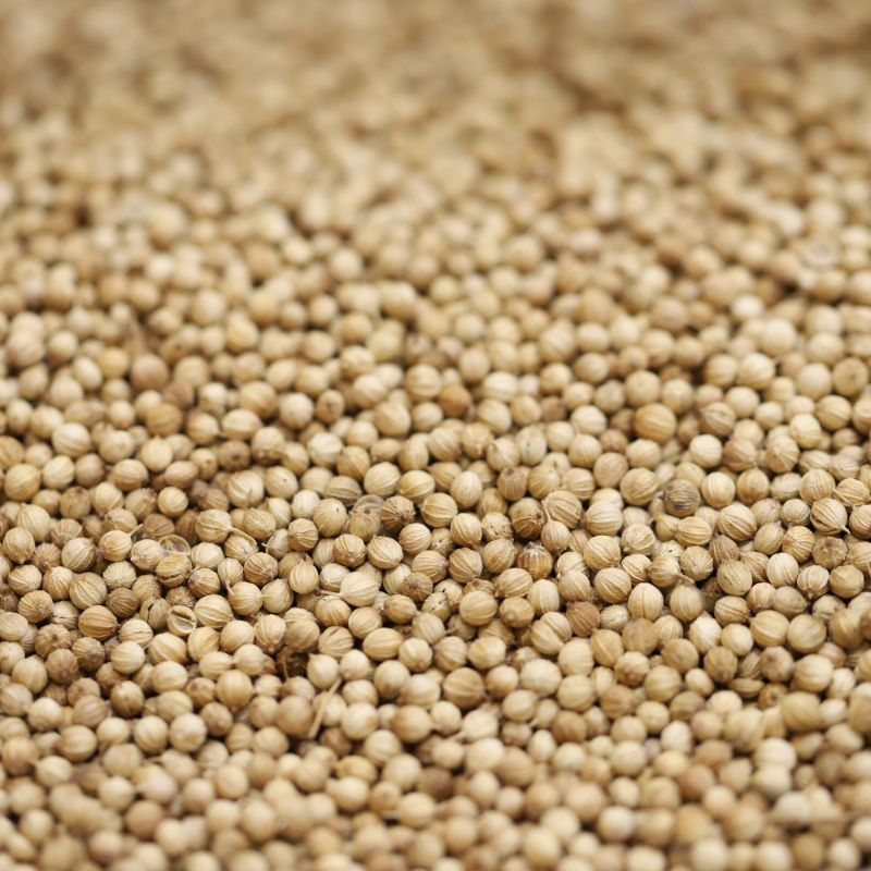 Coriander Seeds