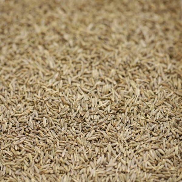 Cumin Seeds