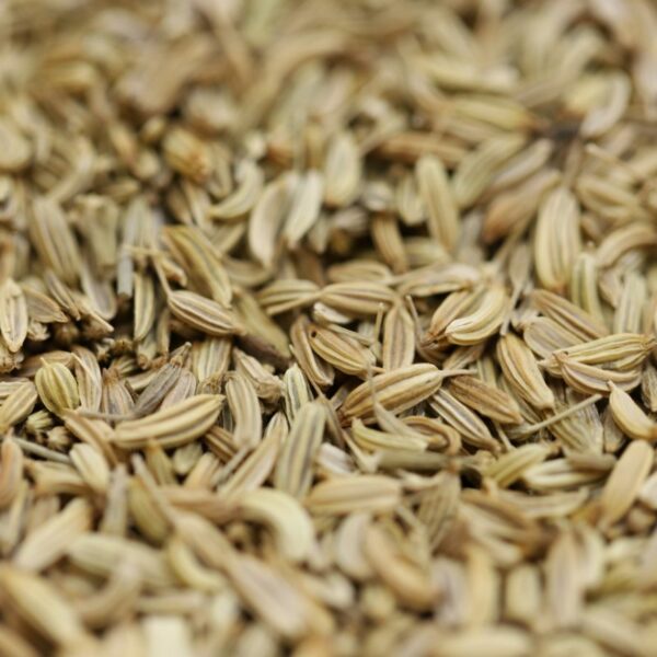 Fennel Seeds Scoop Wholefoods Bath