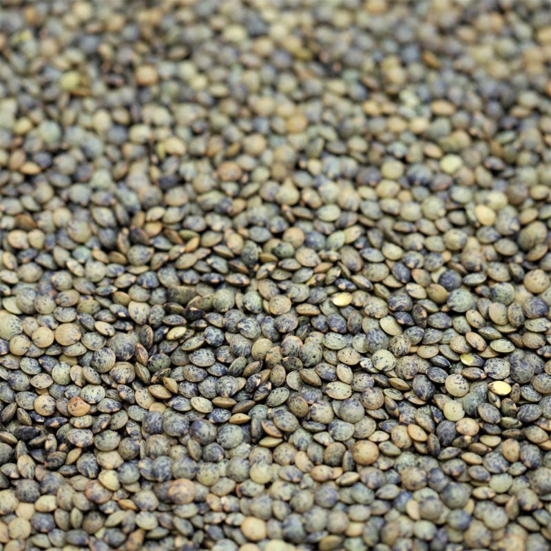 Puy Lentils