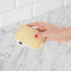 Seep Sponge Scourer