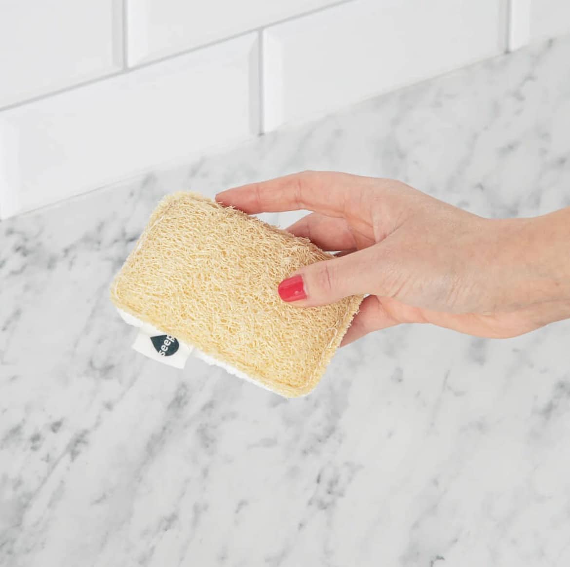 Seep Sponge Scourer