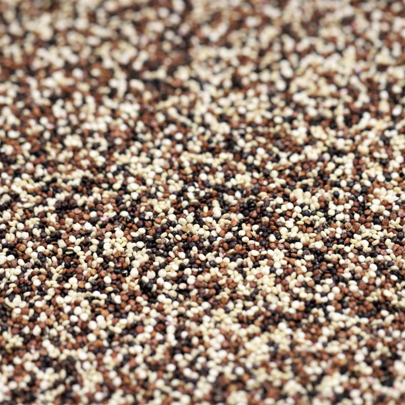 Quinoa Tri-colour