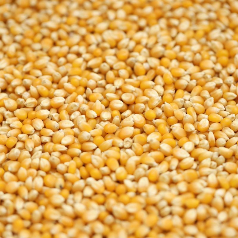 Popping Corn Scoop Wholefoods Bath