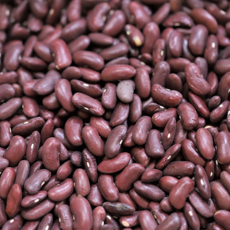 Red Kidney Beans