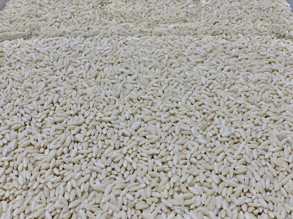 Orzo